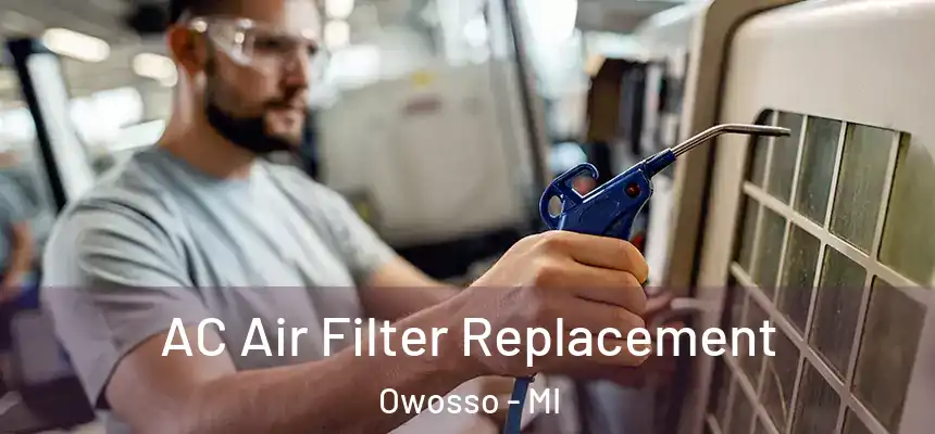  AC Air Filter Replacement Owosso - MI