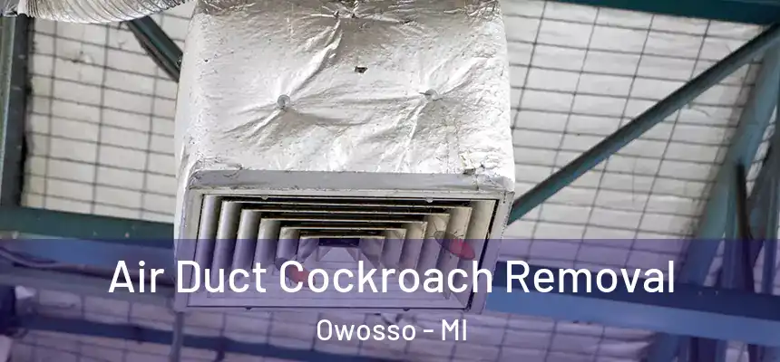 Air Duct Cockroach Removal Owosso - MI