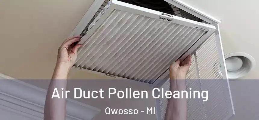 Air Duct Pollen Cleaning Owosso - MI