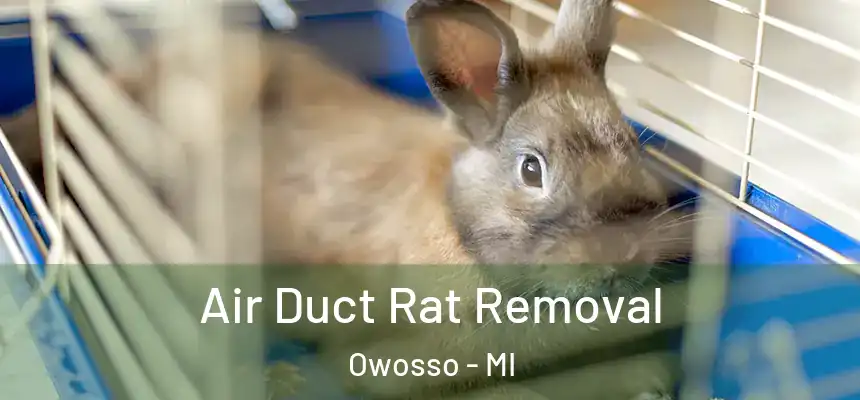  Air Duct Rat Removal Owosso - MI