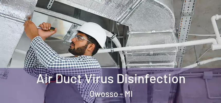  Air Duct Virus Disinfection Owosso - MI