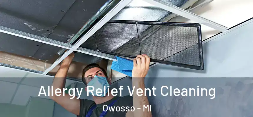 Allergy Relief Vent Cleaning Owosso - MI