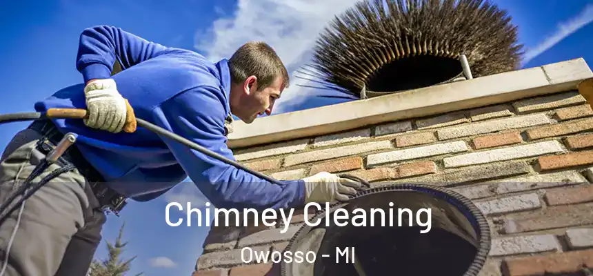  Chimney Cleaning Owosso - MI