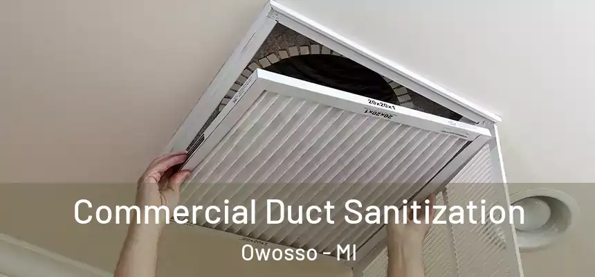 Commercial Duct Sanitization Owosso - MI