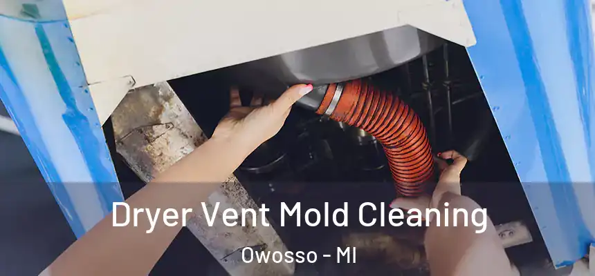  Dryer Vent Mold Cleaning Owosso - MI