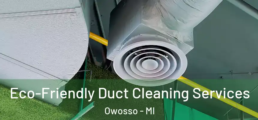 Eco-Friendly Duct Cleaning Services Owosso - MI