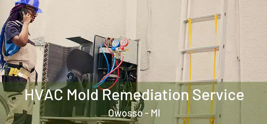  HVAC Mold Remediation Service Owosso - MI