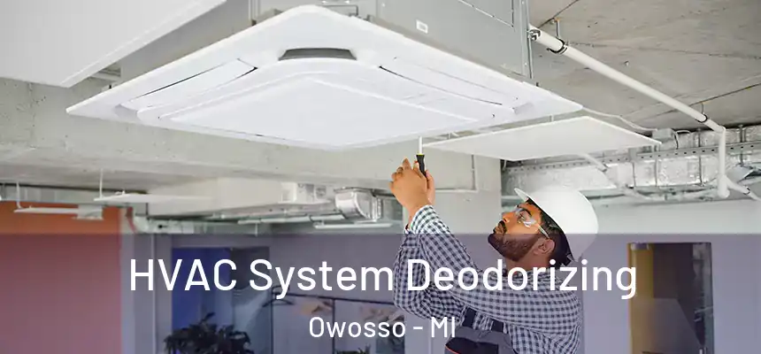  HVAC System Deodorizing Owosso - MI