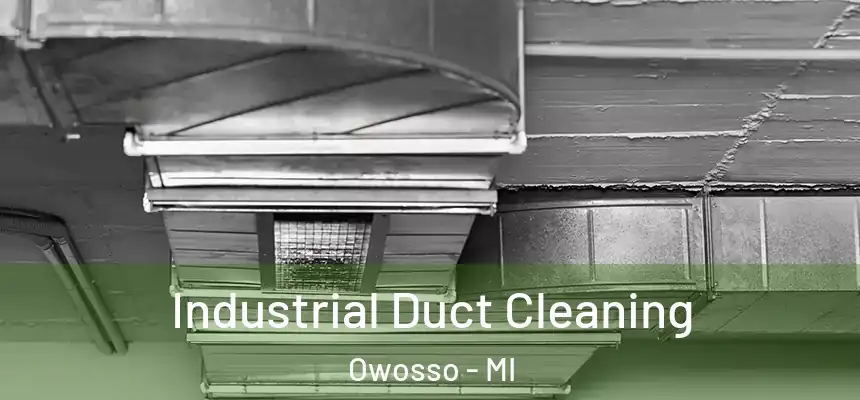 Industrial Duct Cleaning Owosso - MI