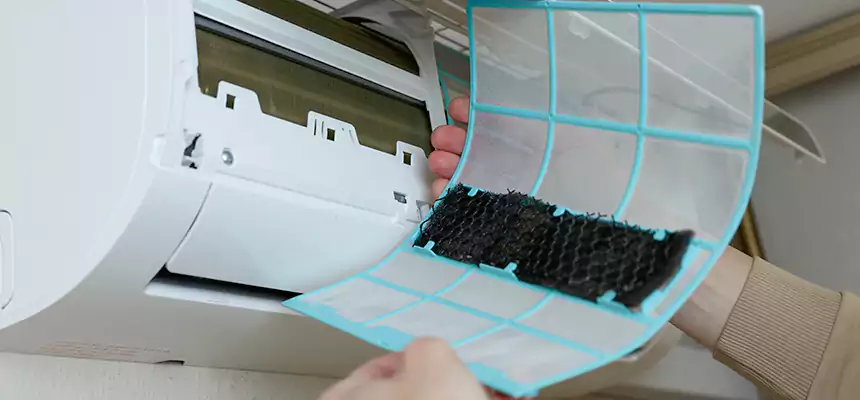 Gentle Ductwork Odor-Control Pet Dander Duct Cleaning in Owosso, MI