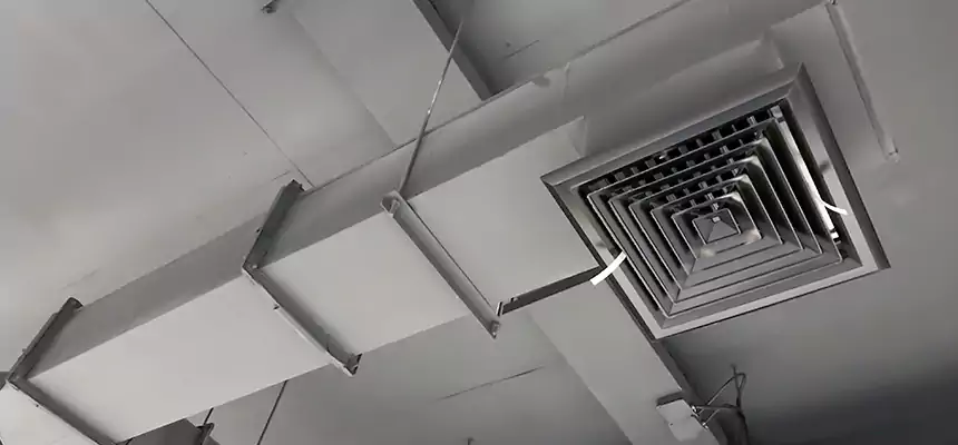 Our Rodent Droppings In Vents Services in Owosso, MI