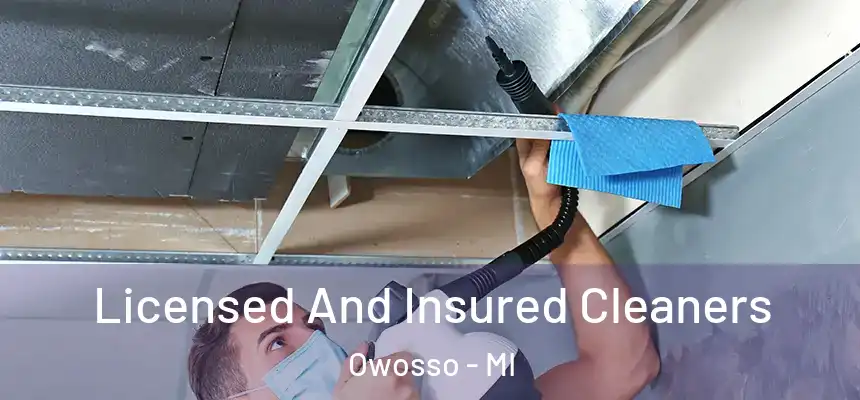 Licensed And Insured Cleaners Owosso - MI