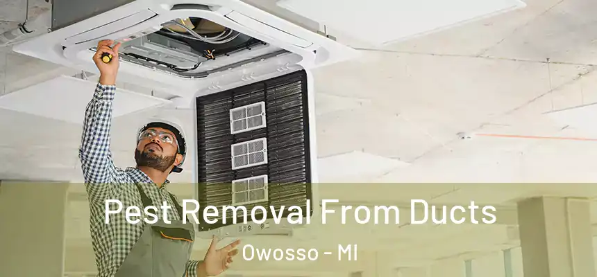 Pest Removal From Ducts Owosso - MI