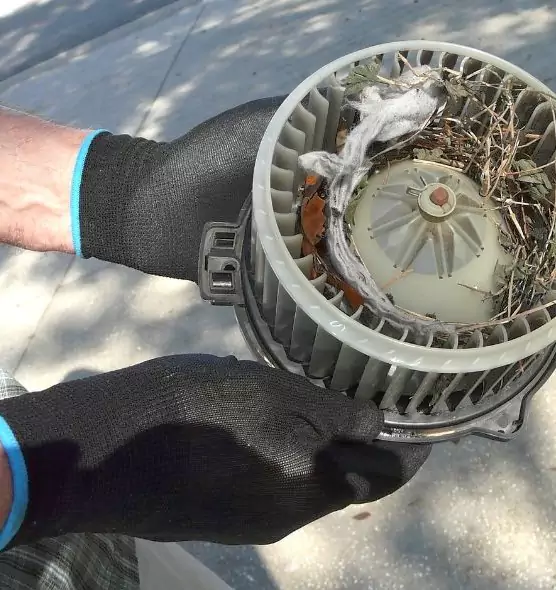 About Air Duct Mice Removal in Owosso, MI