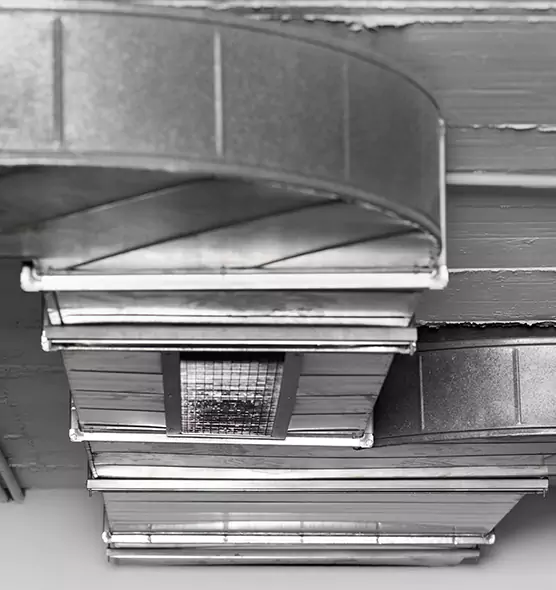 Professional Air Duct Pet Hair Removal in Owosso, MI