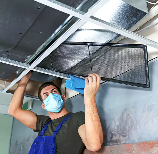 Why Homeowners Businesses Trust Us in Owosso, MI